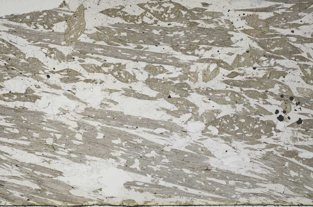 Plane Polarized, S61338