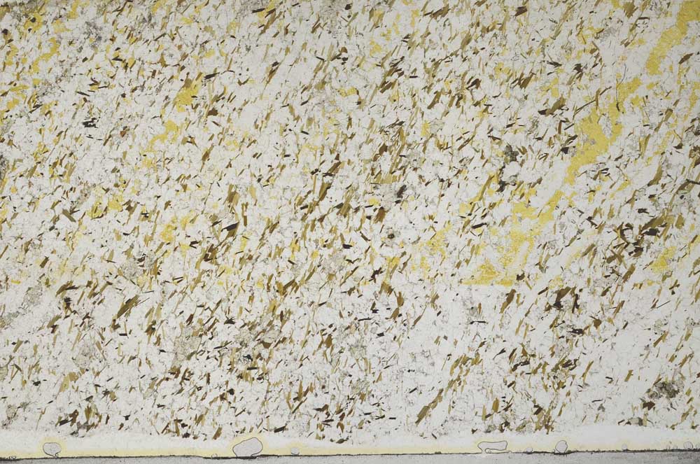 Plane Polarized, S61339/A