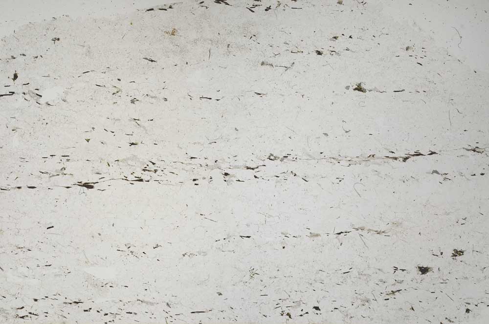 Plane Polarized, S61340