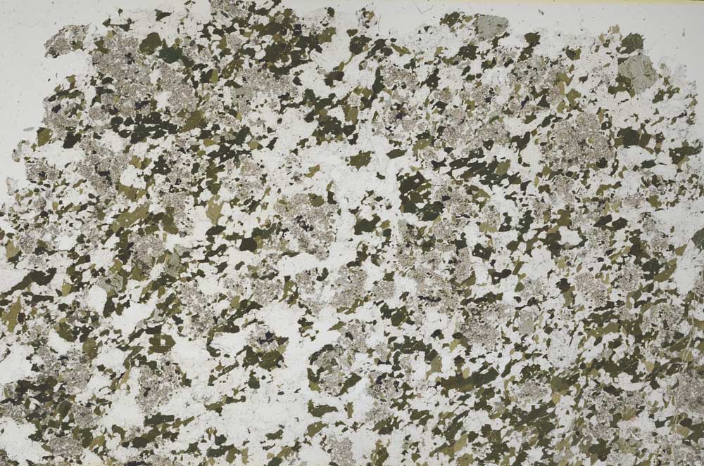 Plane Polarized, S61341