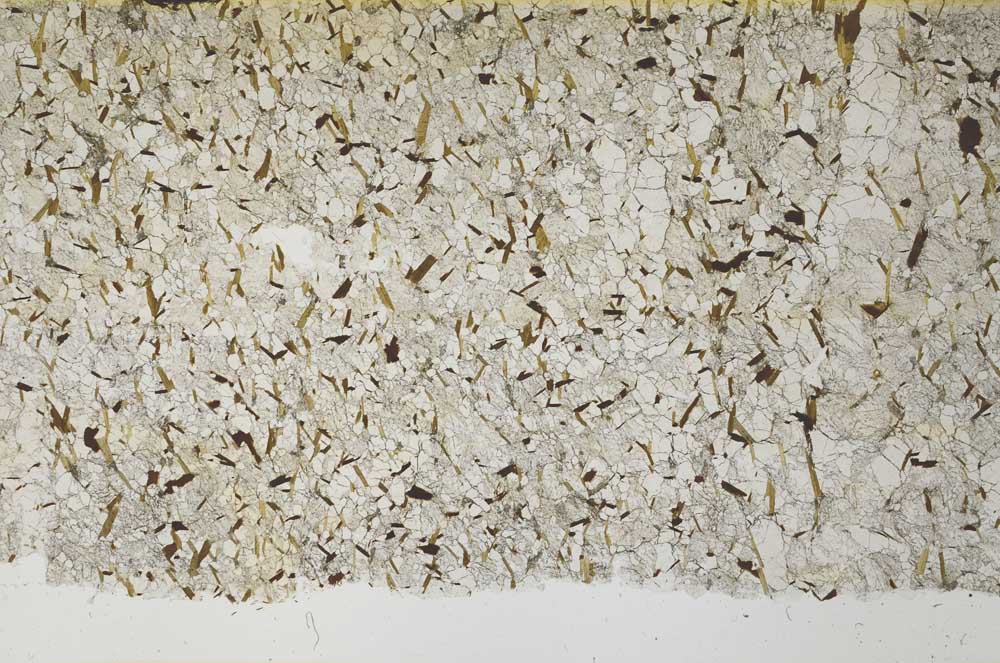 Plane Polarized, S61342