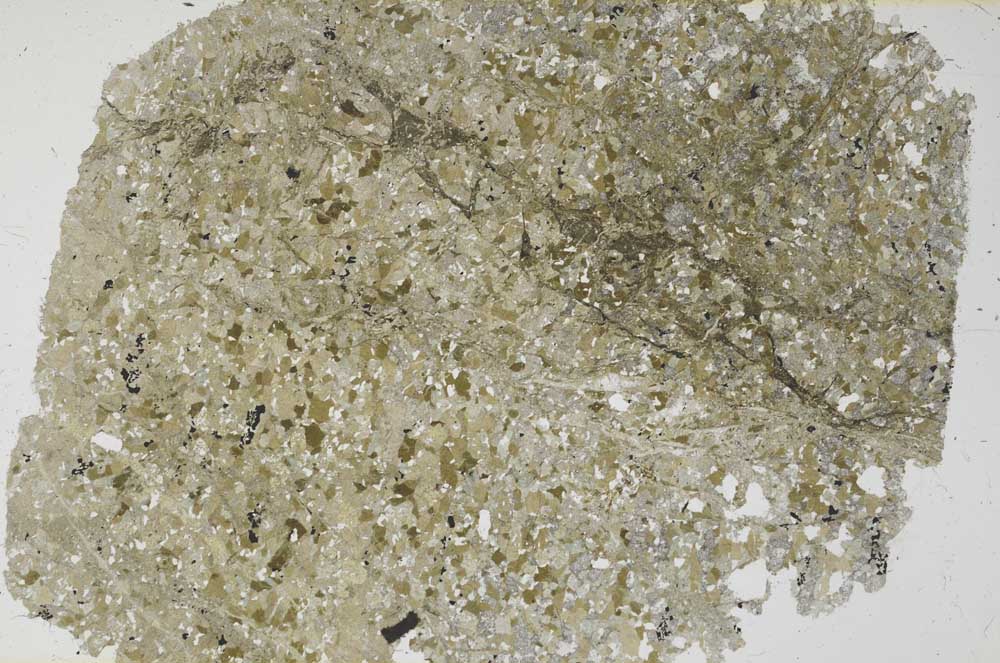 Plane Polarized, S61345