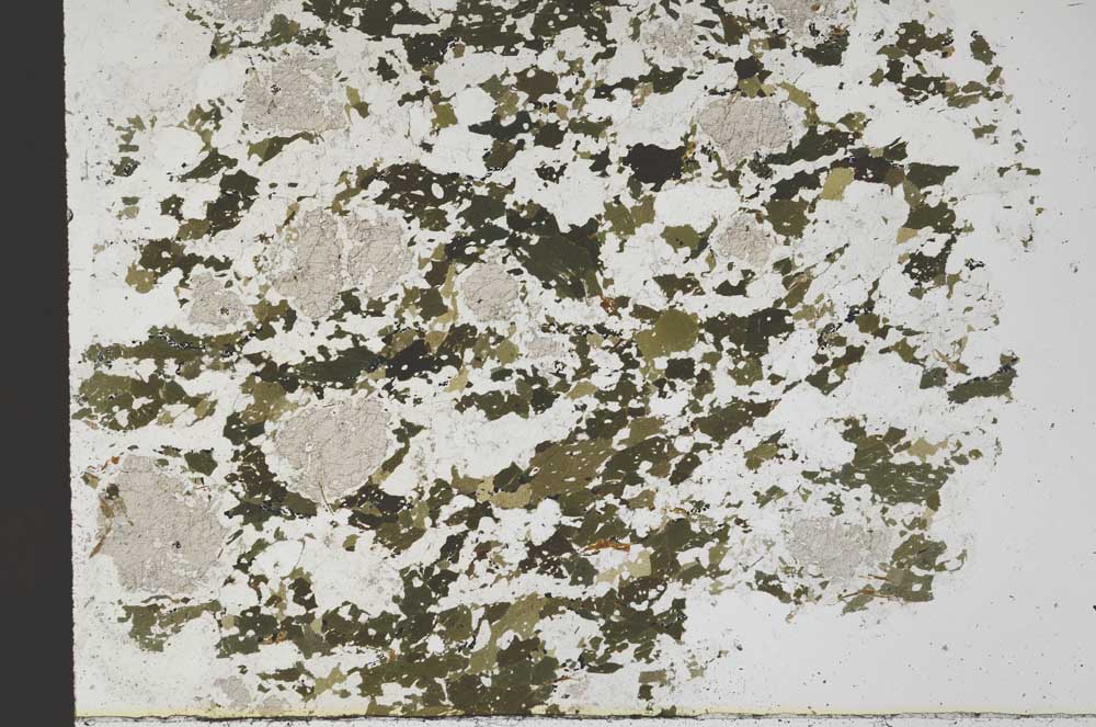 Plane Polarized, S61351