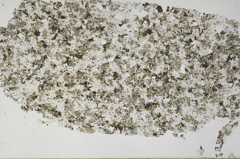 Plane Polarized, S61352