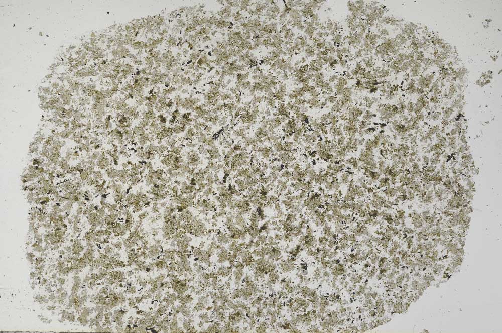 Plane Polarized, S61353