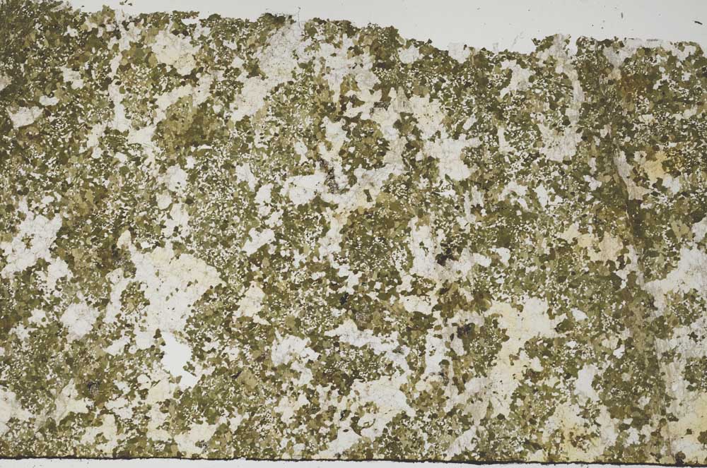 Plane Polarized, S61354