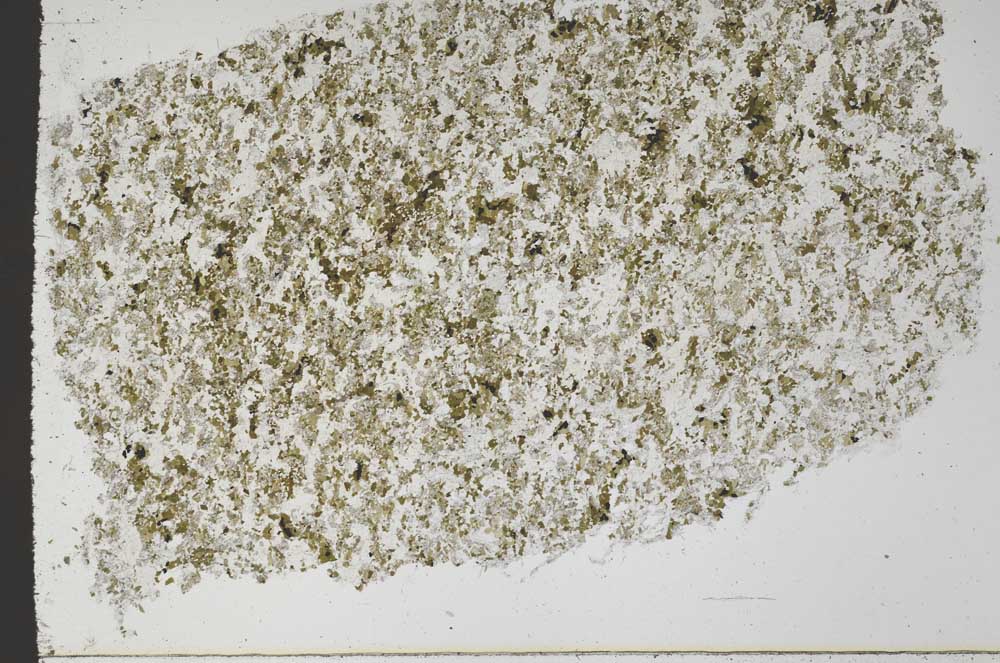 Plane Polarized, S61355