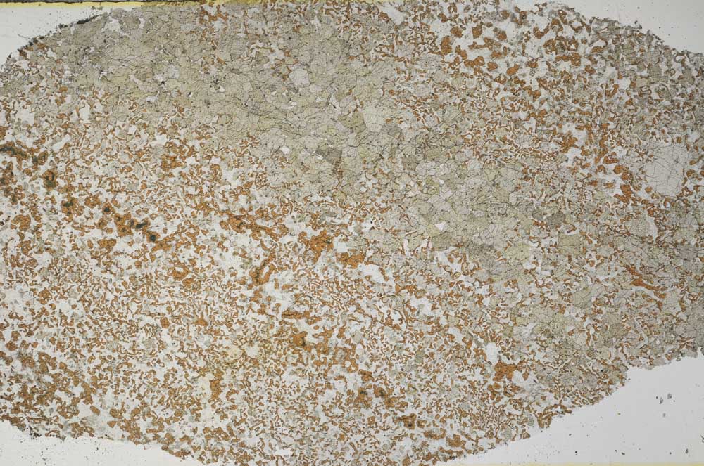 Plane Polarized, S61356