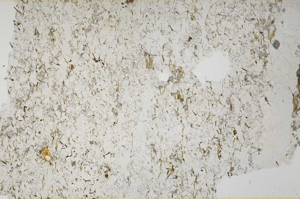 Plane Polarized, S61357