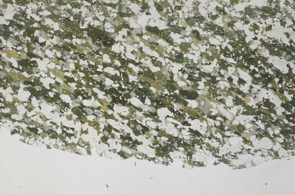 Plane Polarized, S61362