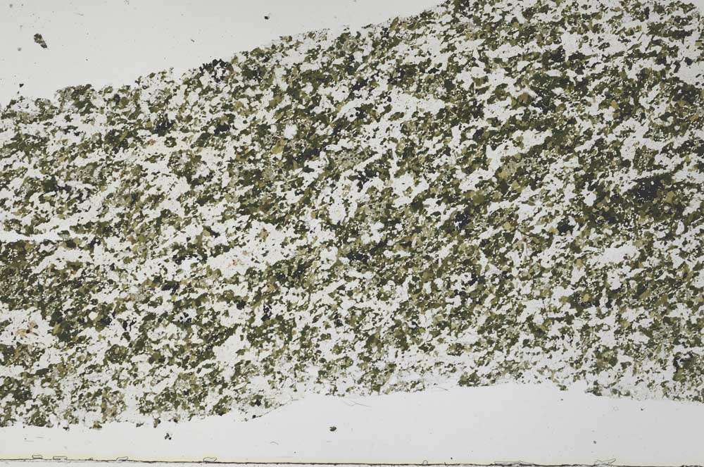 Plane Polarized, S61363