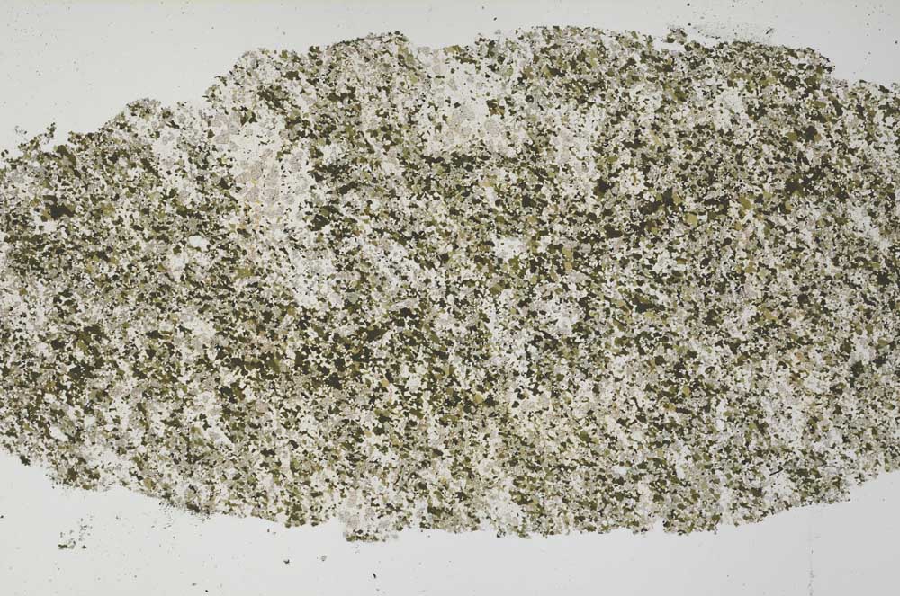 Plane Polarized, S61364