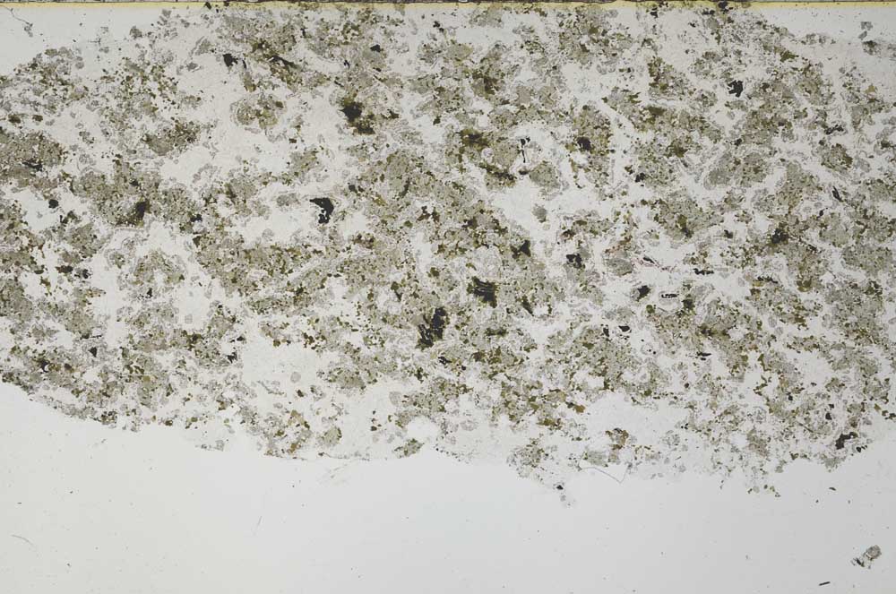 Plane Polarized, S61366