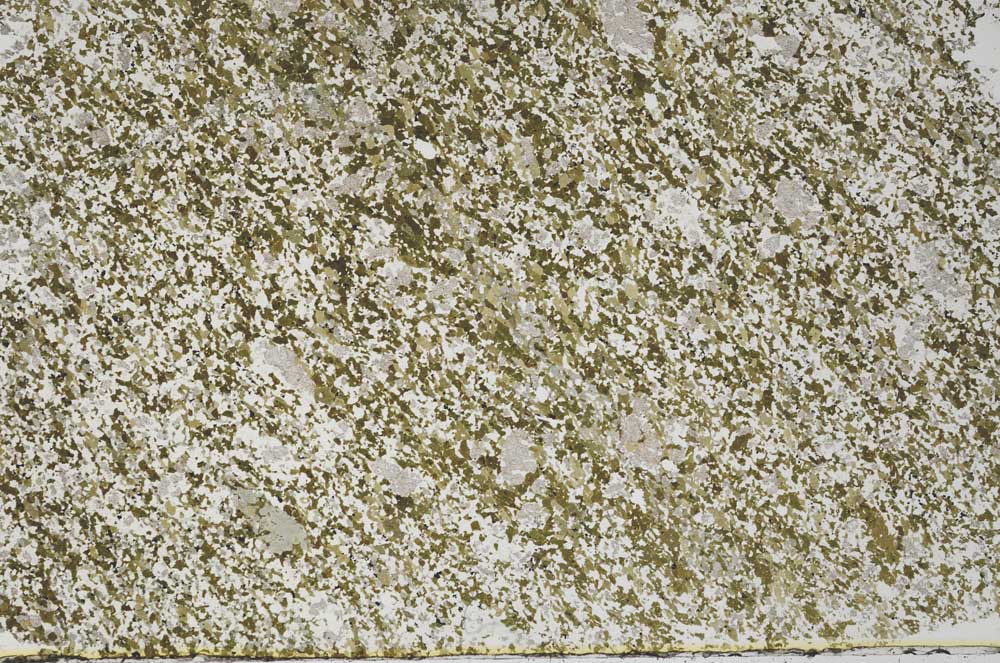 Plane Polarized, S61372