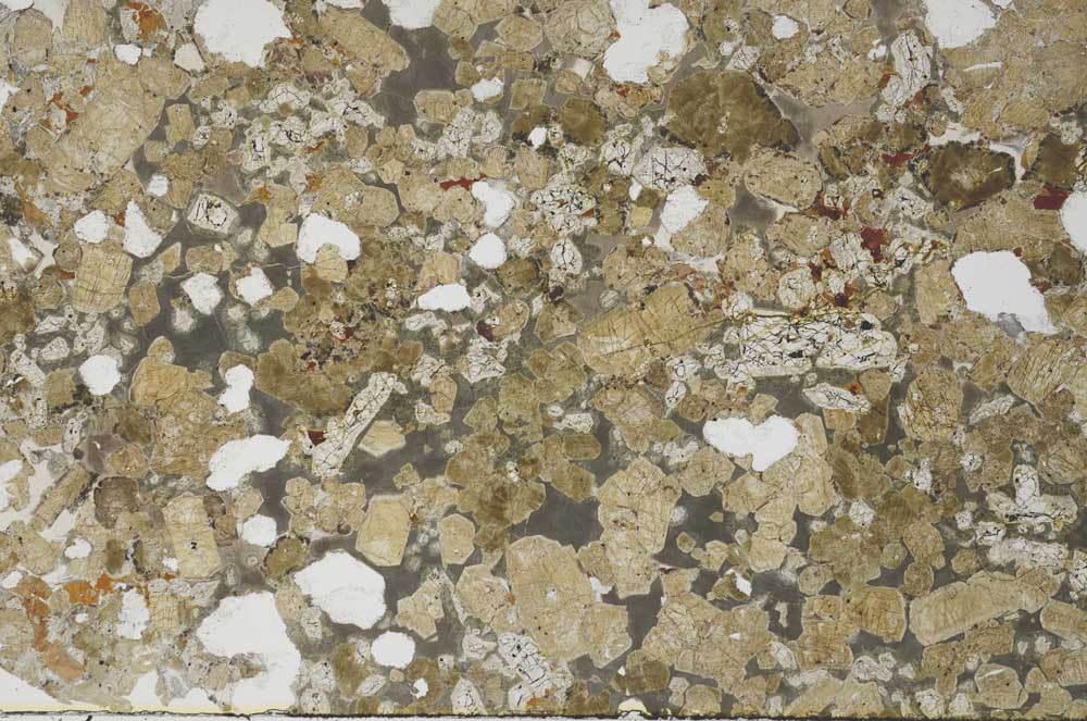 Plane Polarized, S61374