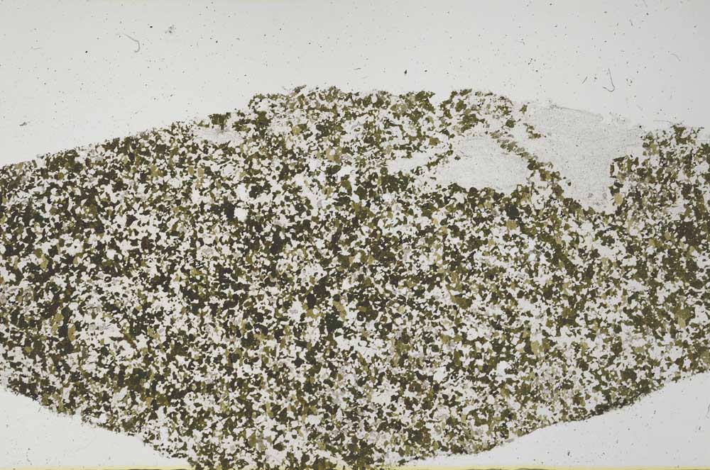 Plane Polarized, S61392