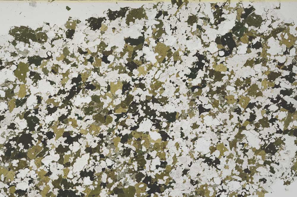 Plane Polarized, S61396