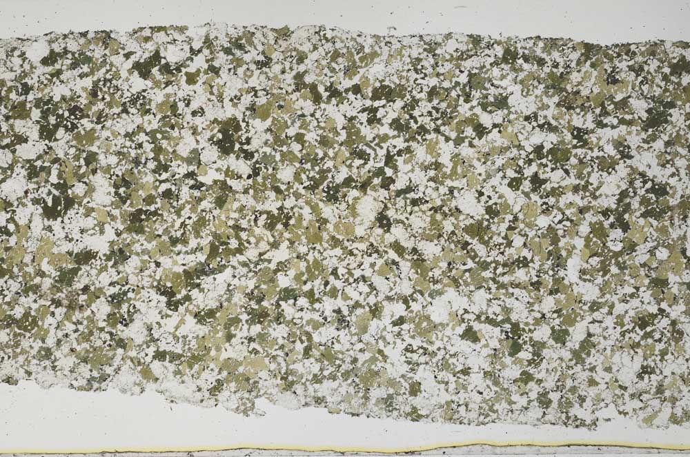 Plane Polarized, S61397