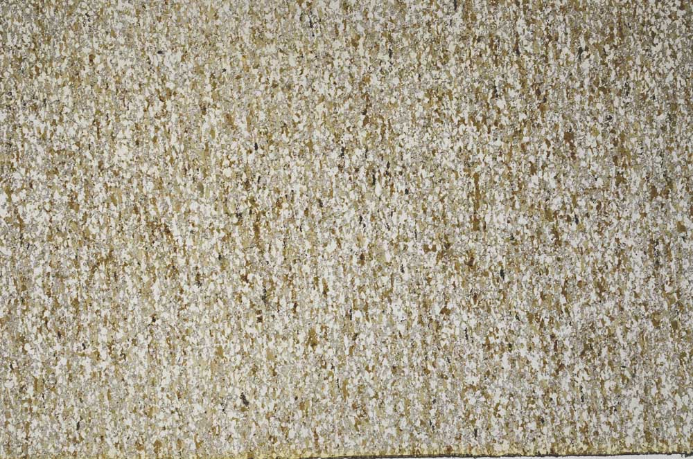 Plane Polarized, S61398