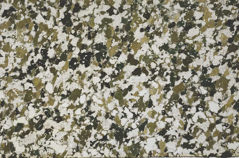 Plane Polarized, S61402