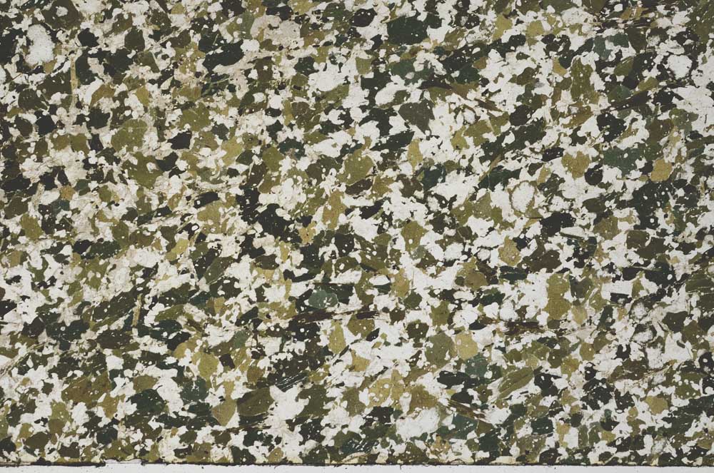 Plane Polarized, S61403