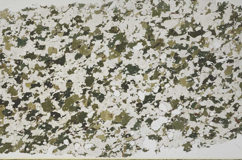 Plane Polarized, S61416