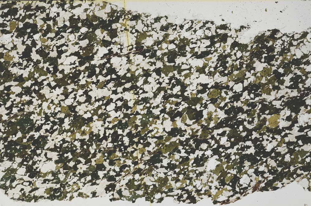 Plane Polarized, S61417