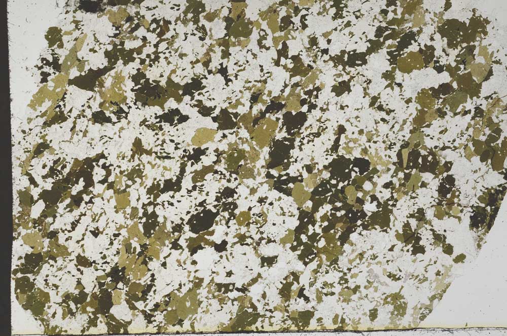 Plane Polarized, S61431