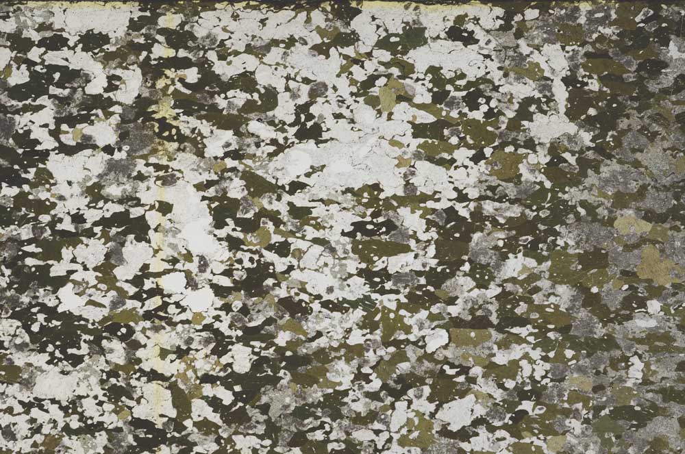 Plane Polarized, S61434