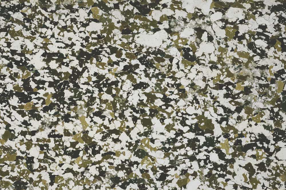 Plane Polarized, S61437