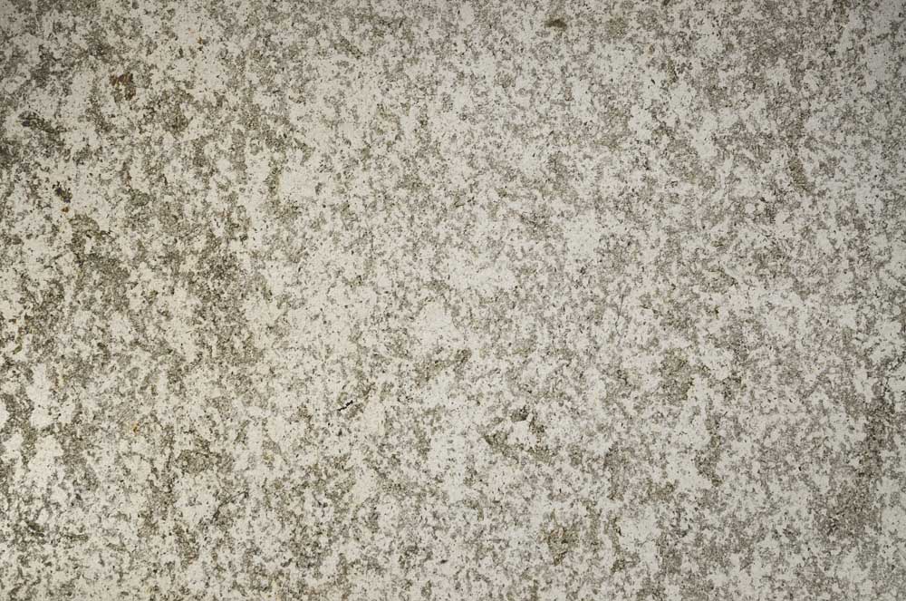 Plane Polarized, S61455