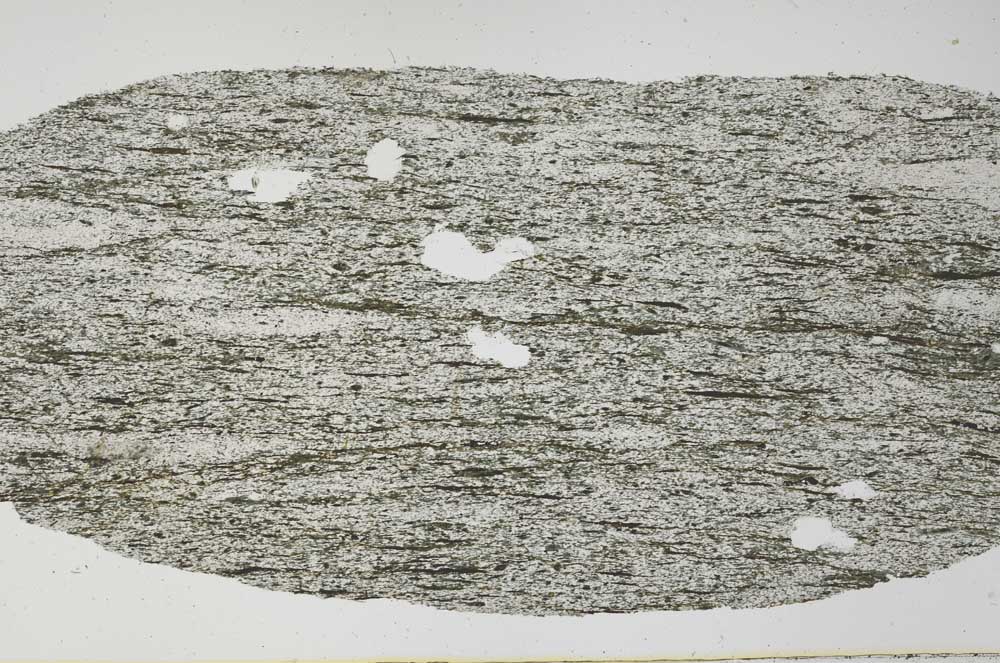 Plane Polarized, S61493