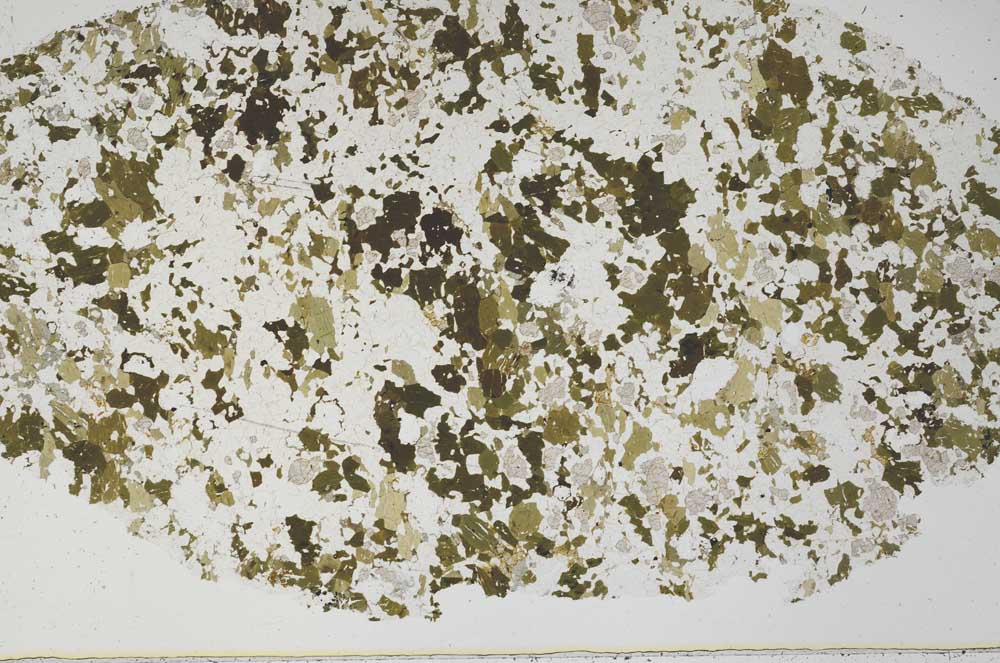 Plane Polarized, S61504