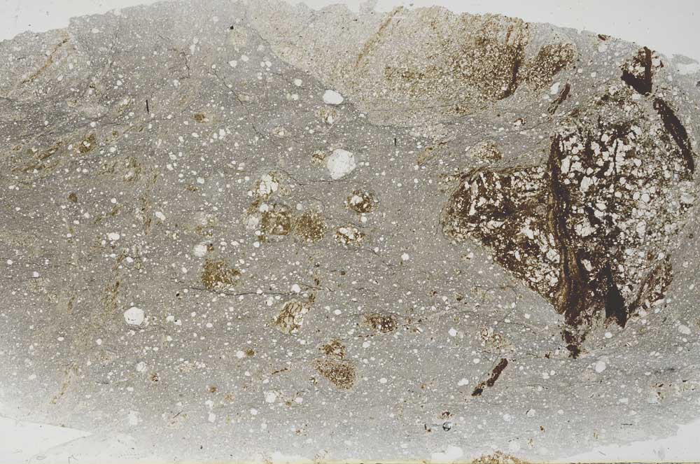 Plane Polarized, S61517