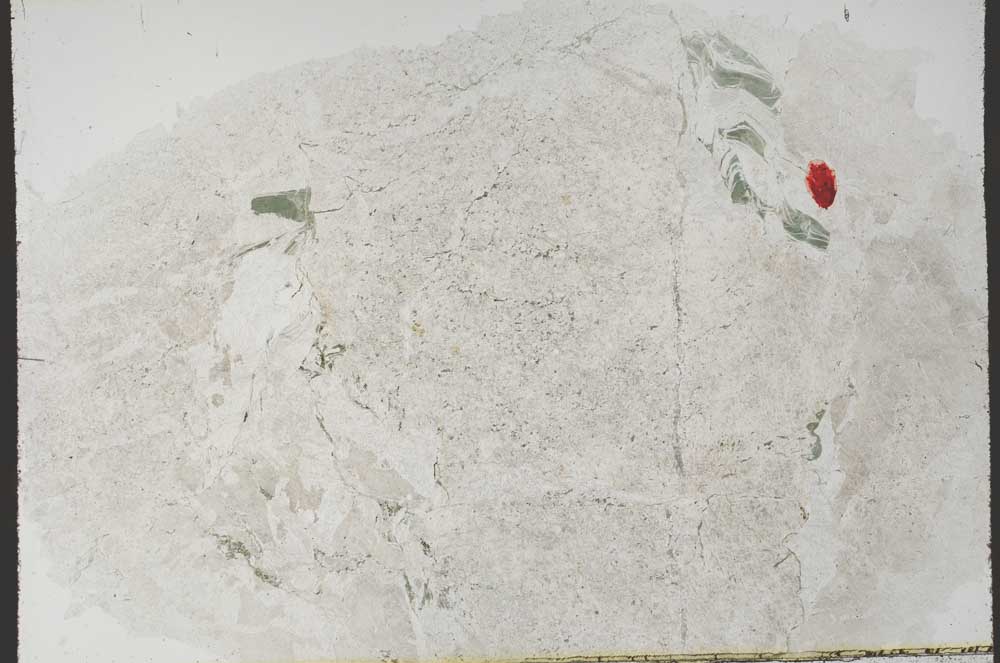 Plane Polarized, S61523