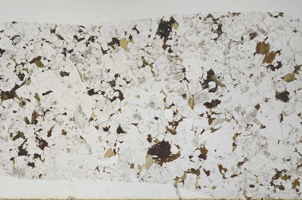 Plane Polarized, S61530