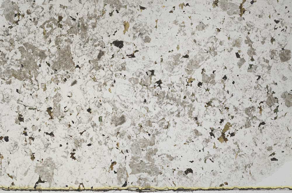Plane Polarized, S61532