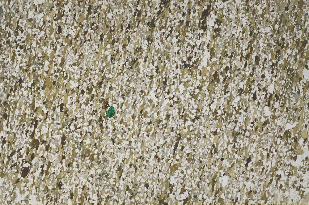 Plane Polarized, S61547