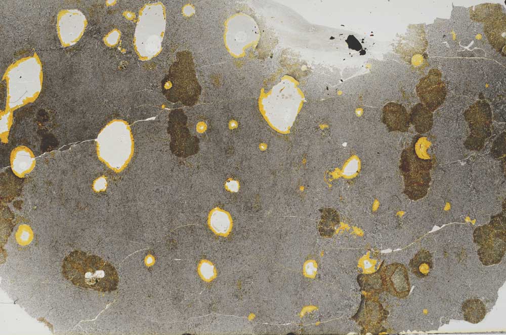 Plane Polarized, S61549