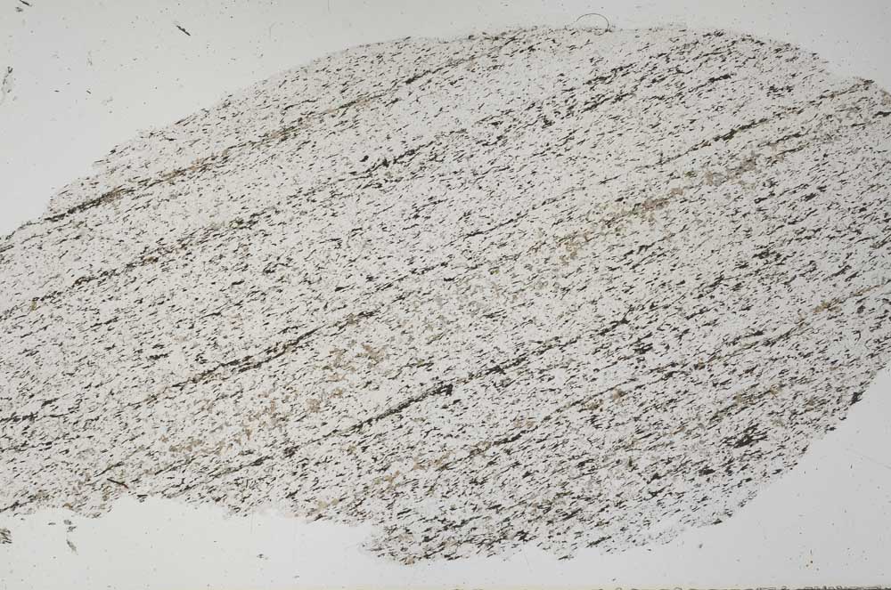 Plane Polarized, S61579