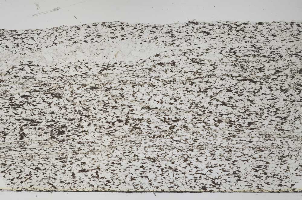 Plane Polarized, S61580