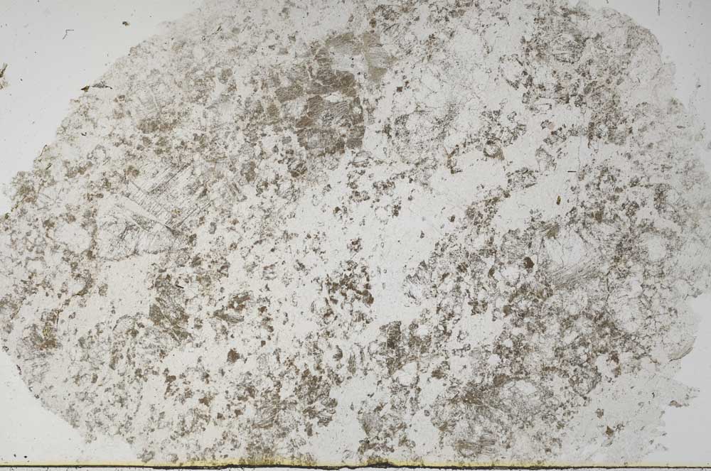Plane Polarized, S61584