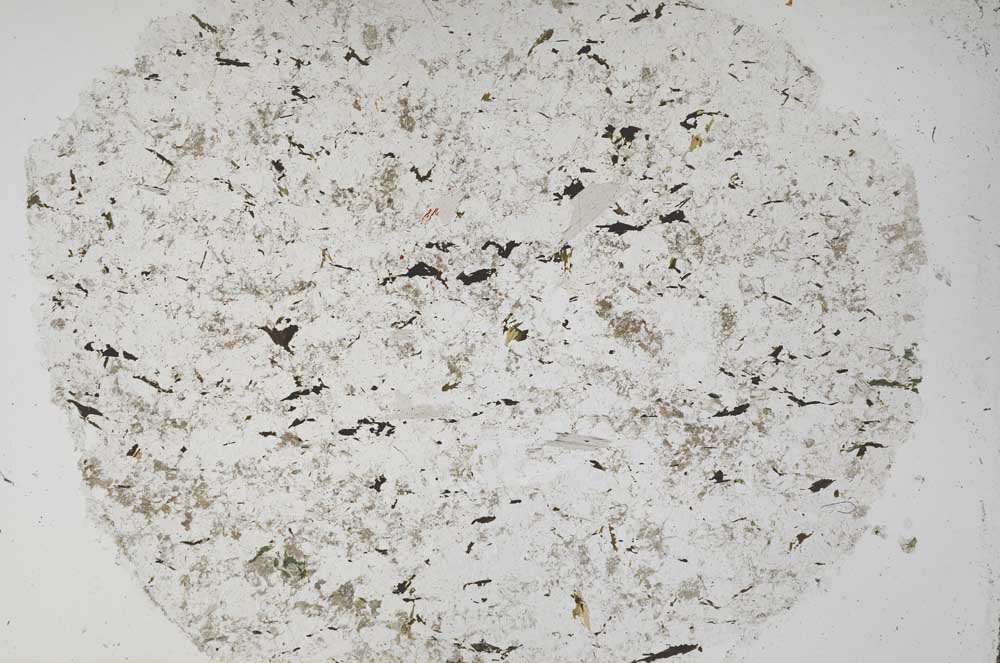 Plane Polarized, S61590