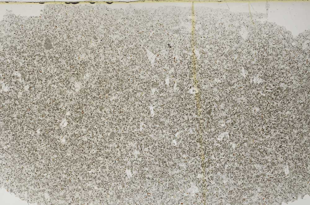 Plane Polarized, S61660