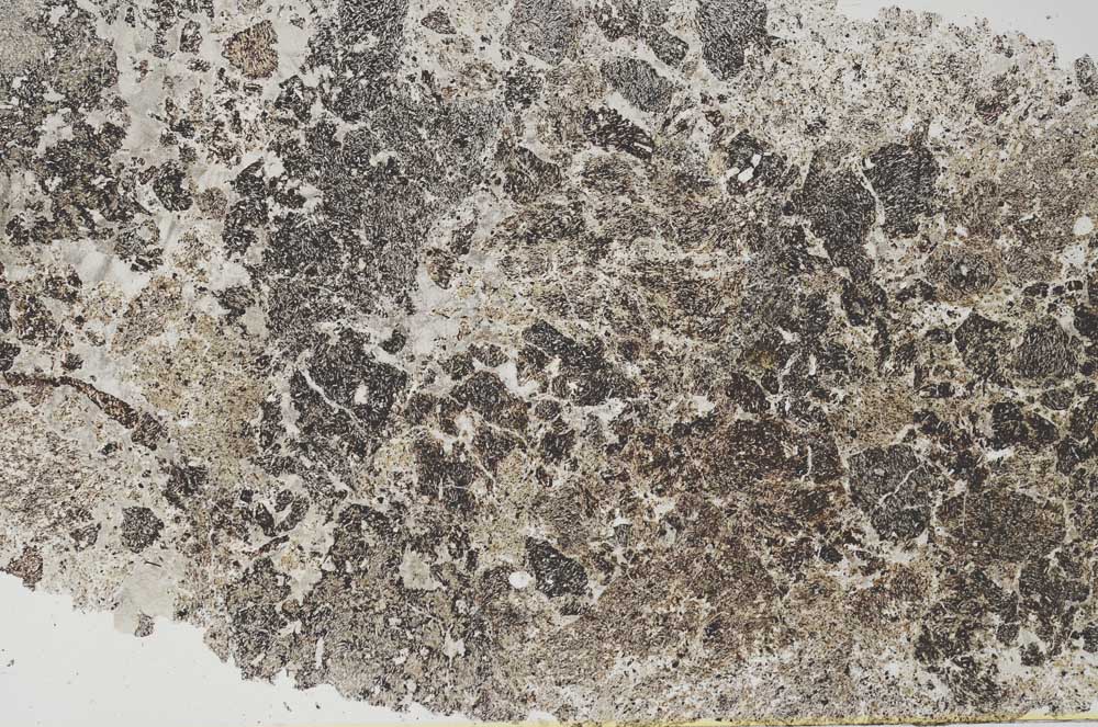 Plane Polarized, S61662