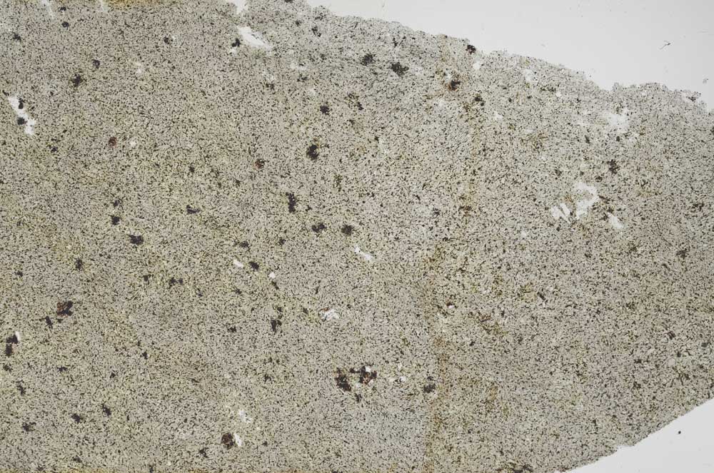 Plane Polarized, S61665