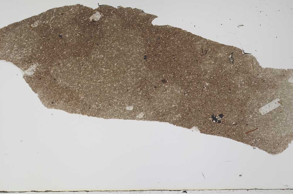 Plane Polarized, S61675