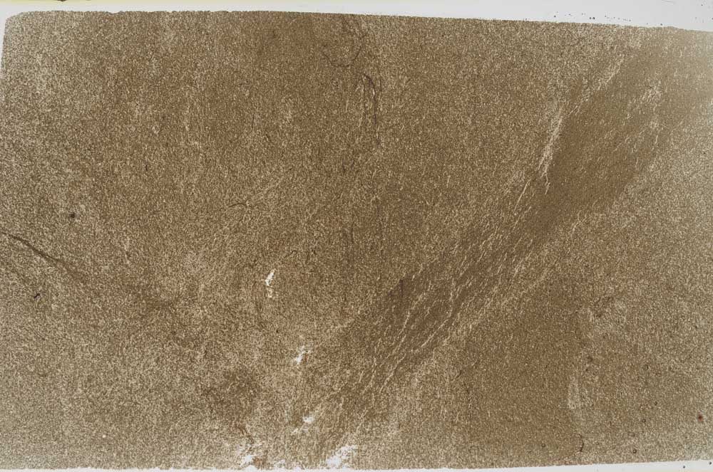 Plane Polarized, S61676