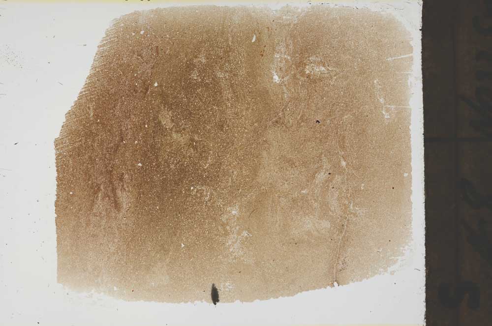 Plane Polarized, S61679/A