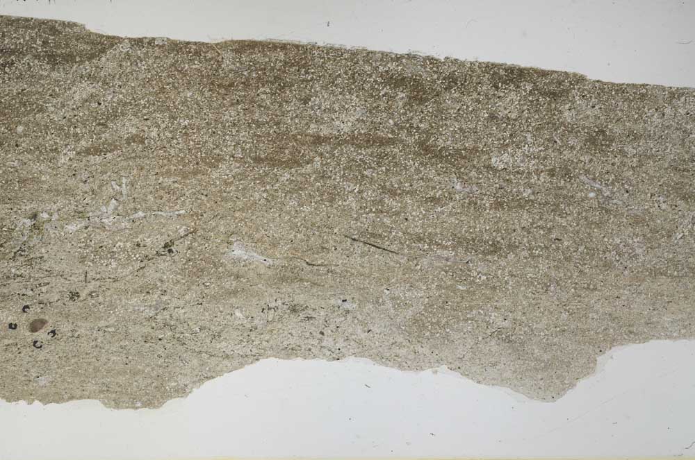 Plane Polarized, S61681